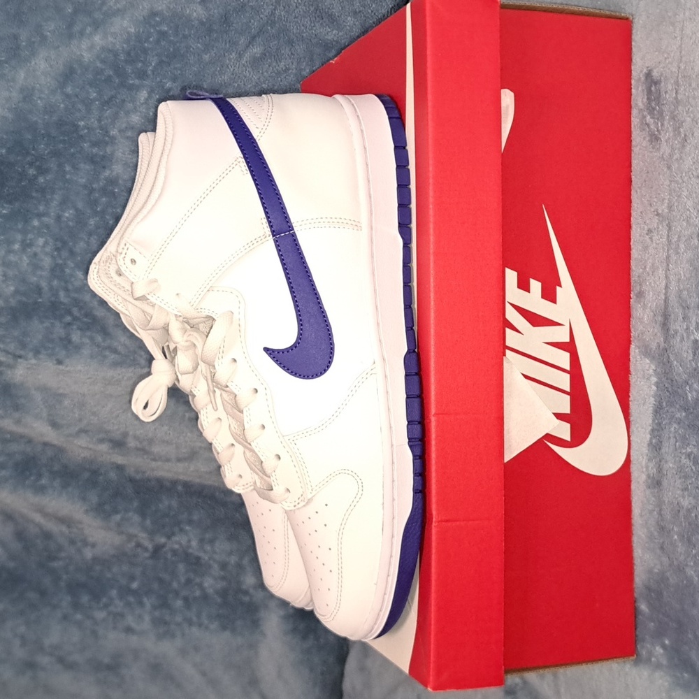 Nike Dunk Hi Retro Concord